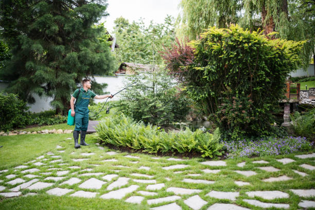 Best Mosquito Control Services  in Bellaire, TX