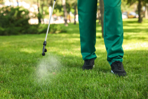 Bird Control in Bellaire, TX