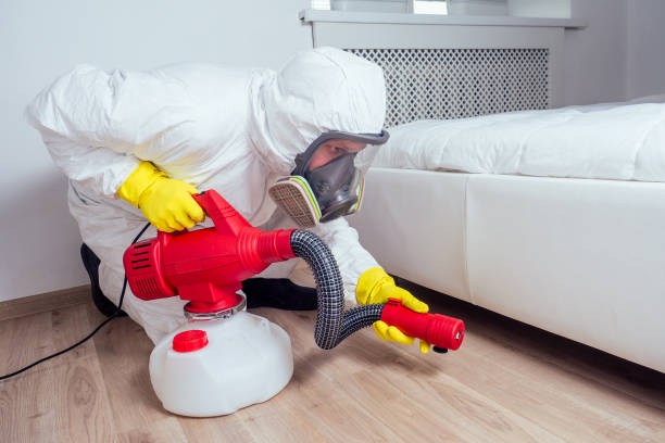 Best Pest Control Treatment  in Bellaire, TX