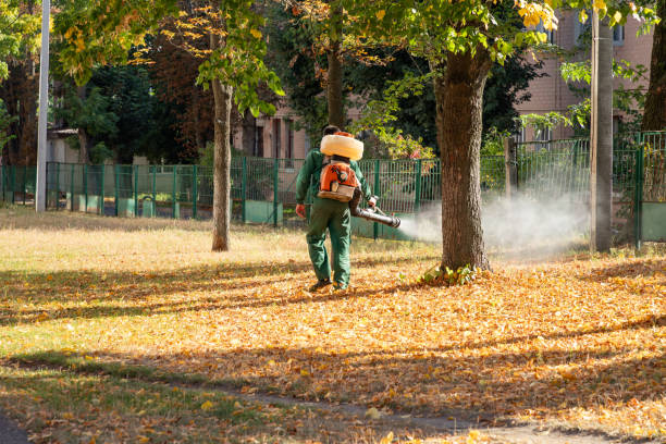Best Bird Control  in Bellaire, TX