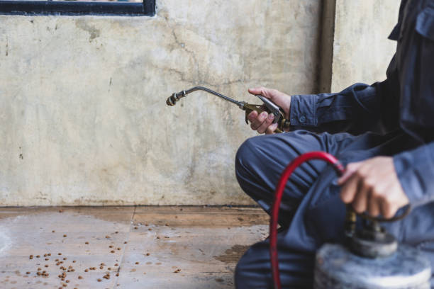 Best Pest Prevention Services  in Bellaire, TX